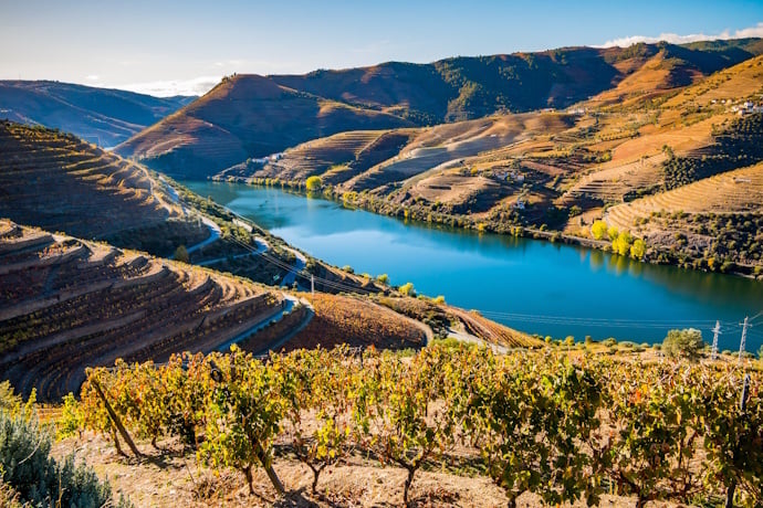 Scenic view of the Douro Valley with rolling green hills, terraced landscapes, and the Douro River winding through rural Portugal at sunset.