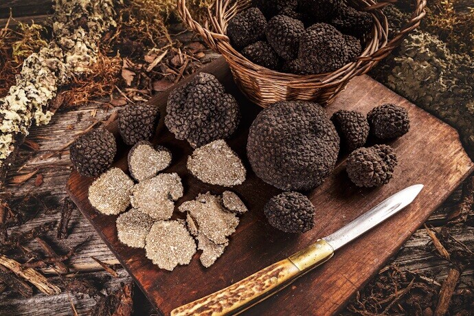 1 - Types of truffles