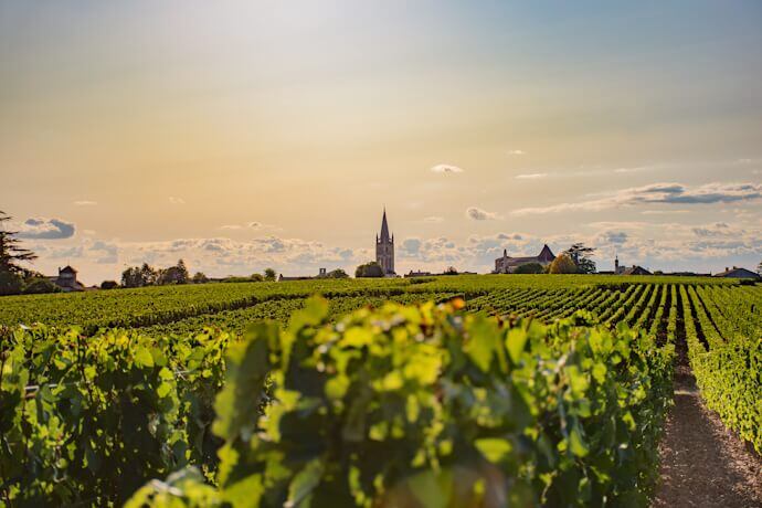 10. Bordeaux, a symphony of wine and flavours