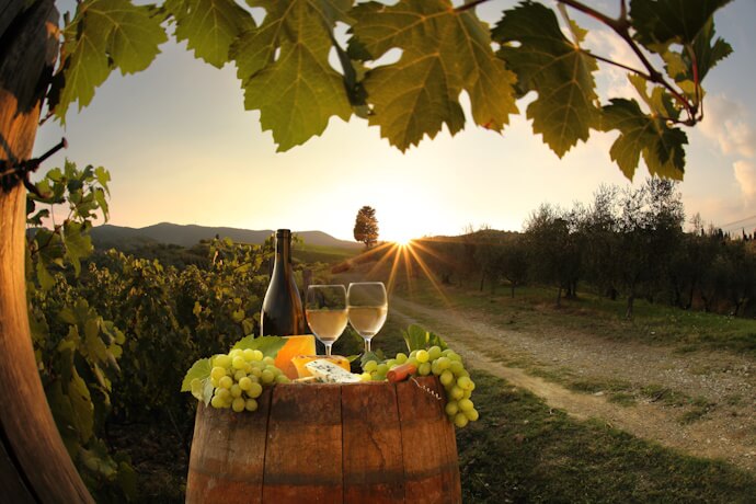 Italy is the largest wine producer in the world