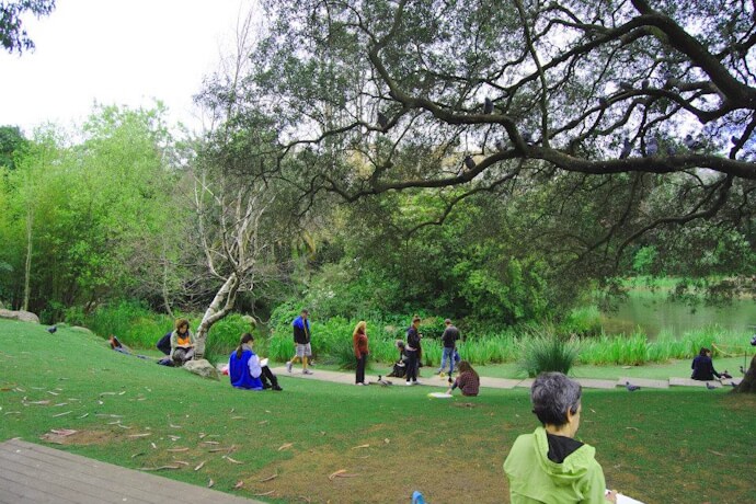 People relaxing in the lush green Gulbenkian Gardens, Lisbon