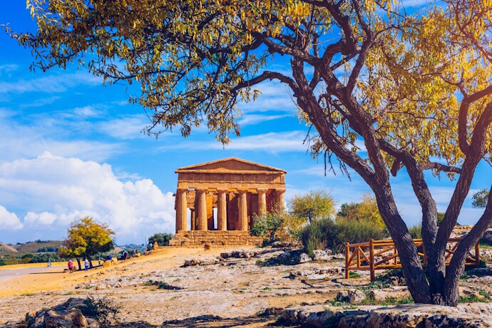 Ancient Greek temple in the Valley of the Temples framed by a tree under a bright blue sky.