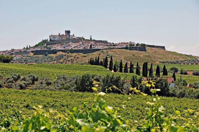 Alentejo Vineyards