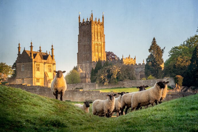 Chipping Campden Church, surrounded by rolling hills and grazing sheep.