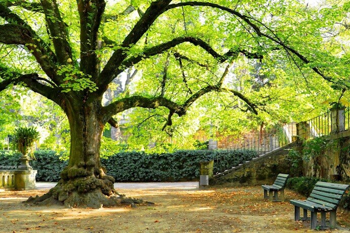 2 - Exploring the Botanical gardens of Coimbra