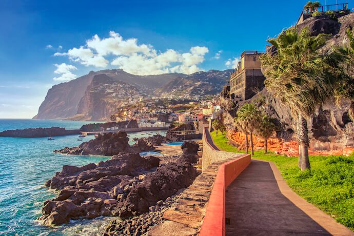 Coastal promenade in Madeira with palm trees, dramatic cliffs, colorful hillside buildings, and the Atlantic Ocean under a bright blue sky.