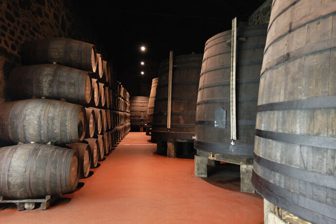 2 - Port Wine Cellar Visit
