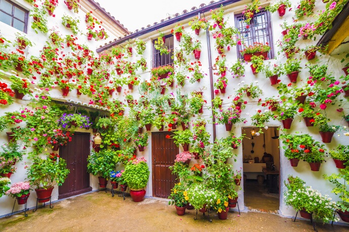 Traditional Córdoba courtyard covered in colorful potted flowers adorning the whitewashed walls during the city’s Patios Festival.