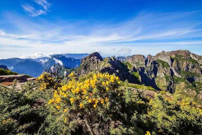 3 - Places to go during the Flower Festival
