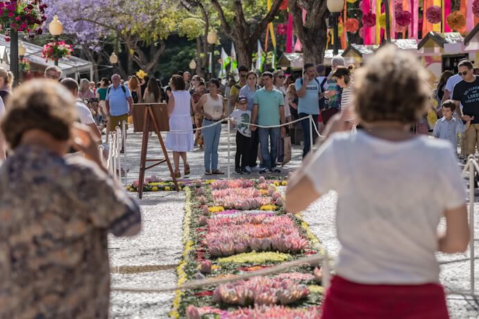 4 - Can you visit Madeira this time of year