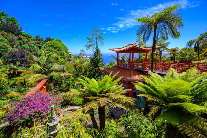 A lush and exotic botanical garden in Funchal, Madeira, featuring tropical plants, tree ferns, colorful flowers, and a traditional red oriental-style pavilion.