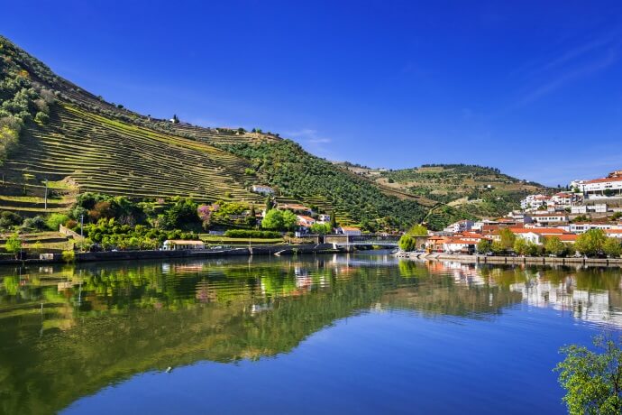 Have a Picnic in the Vineyards