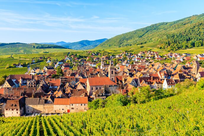 6 - Day Trips into Alsace’s Wine Route and Historic Villages