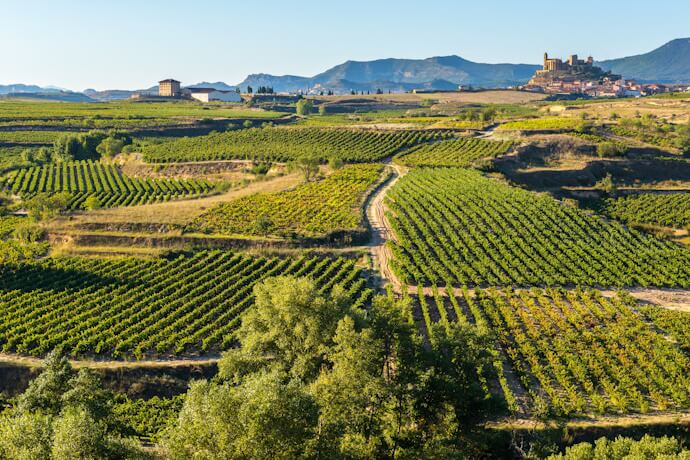 Rolling vineyards in La Rioja stretching across green hills with a hilltop village and castle in the distance.
