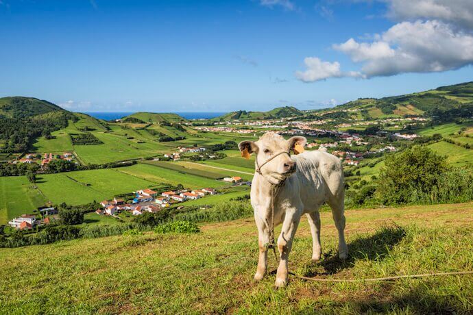 7 - Exploring cheese tastings and pairings 3