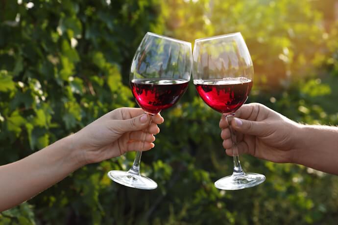 Two glasses of red wine raised beside a vineyard in Bordeaux
