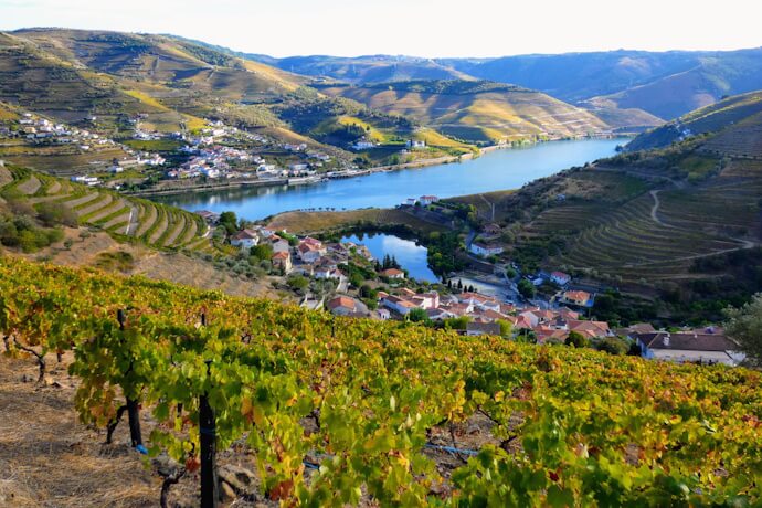 Vineyards cascade down terraced hills in the Douro Valley, framing the river below.