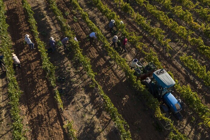1 - Winemaking traditions in Portugal