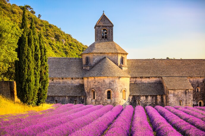 Provence lavender fields in bloom beside a historic abbey - spring scenery in rural southern France