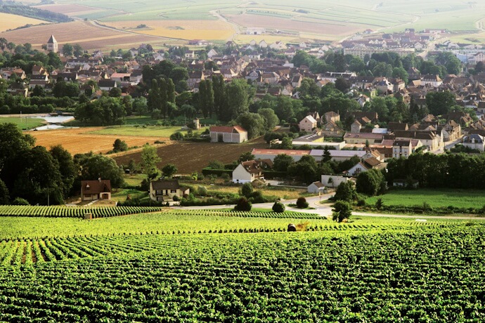 Lush green vineyards overlooking the town of Chablis in Burgundy, France