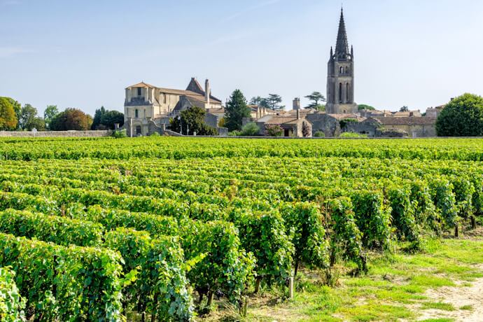 Wine vineyards of Saint Emilion just outside of the town