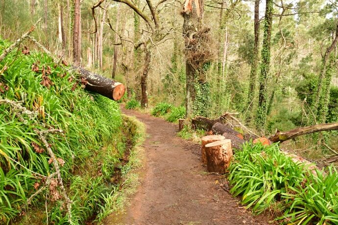 Walk a levada