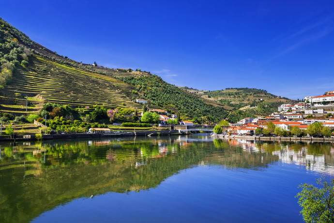 Vineyards and landscape of the Douro River region