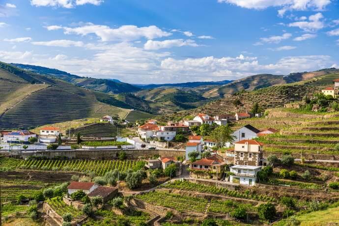 Vineyards in Douro Valley