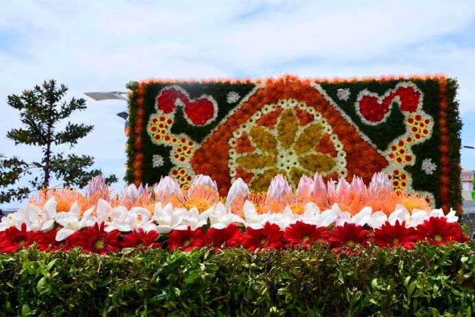 Festa da Flor in Funchal - 2
