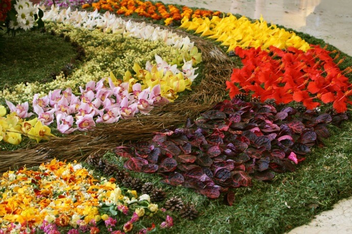 Festa da Flor in Funchal - 4