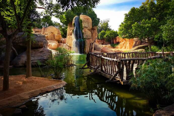 Bioparc landscape