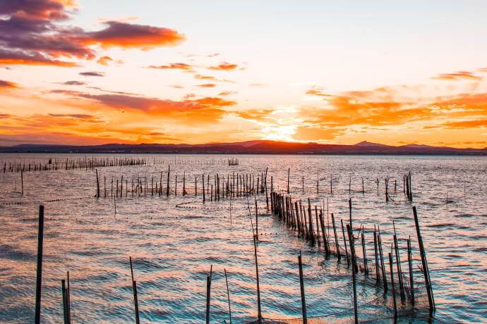 Lake in Albufera Natural Park