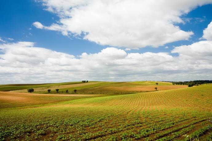 The Alentejo