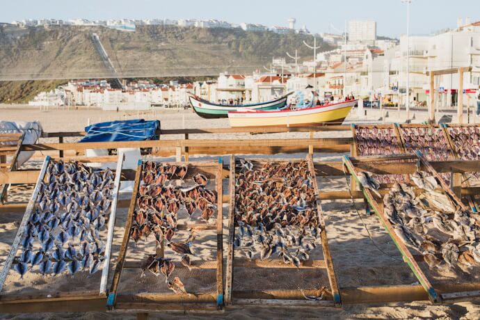 Eat fresh fish and seafood in Nazare