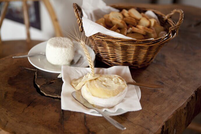 Central Portugal Cheese