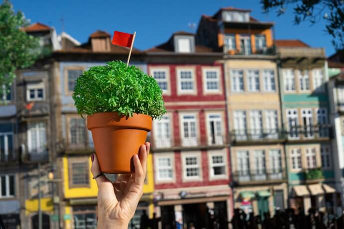 Dancing through June: Portugal’s Santos Populares Festival