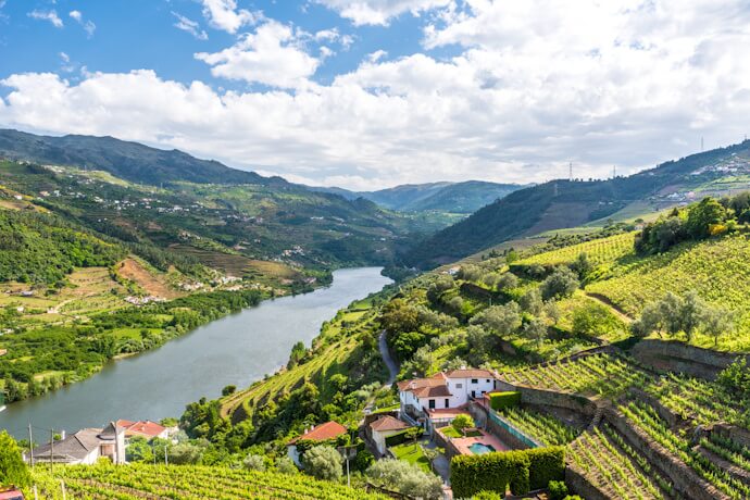 Terraced vineyards and winding curves of the Douro Valley, Portugal.
