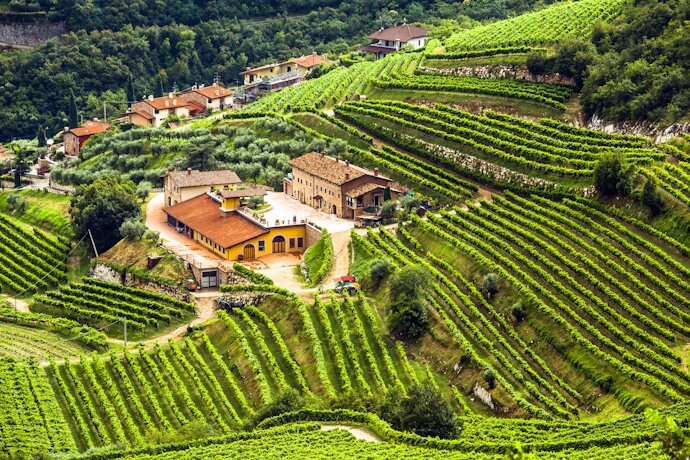 Valpolicella vineyard terraces and farmhouse, famous Italian wine region