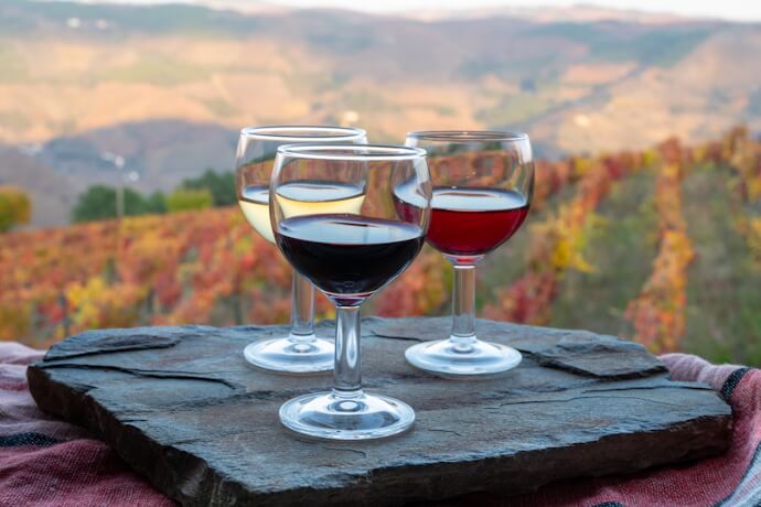 Red, white and rosé wines overlooking Douro Valley vineyards