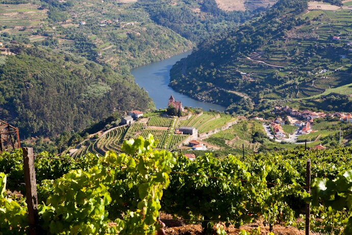 Panoramic view of terraced vineyards along the Douro River in Portugal, with a small church and houses nestled among the hills.
