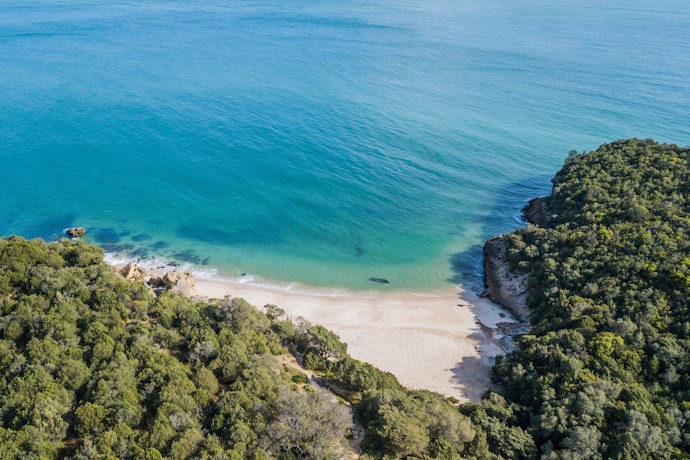 Day 9  Nature and Coastline in the Arrábida Nature Park