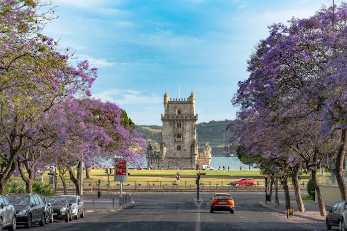 Jacaranda tree in Belém with the Belem Tower in the background.