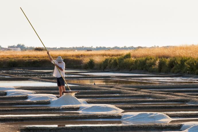 Traditional sea salt harvesting in the salt marshes of Guérande, Brittany region