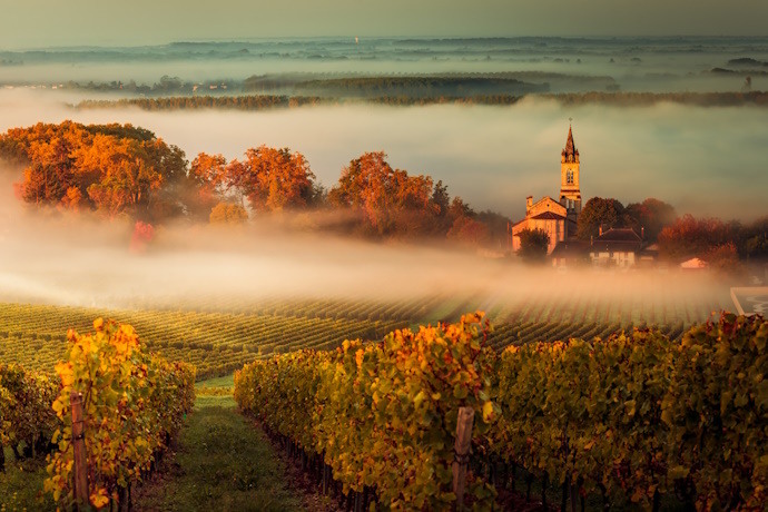 FEATURED_Into Bordeaux Wine Region