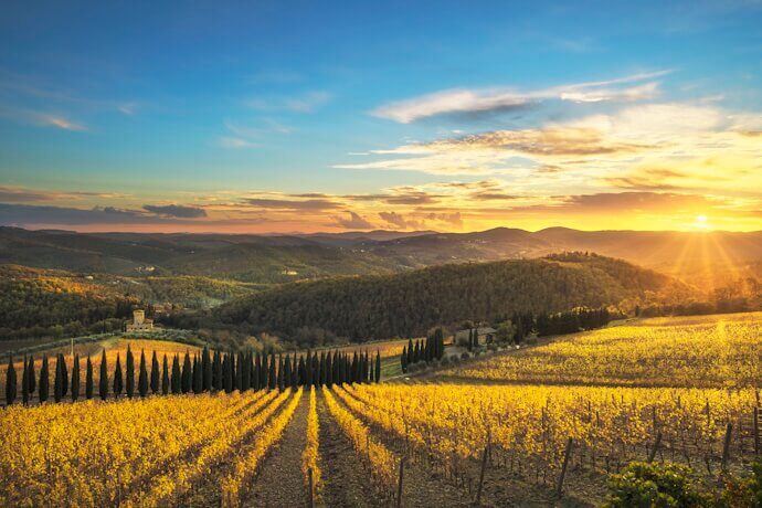 Rolling hills and vineyards at sunset in Chianti, Italy