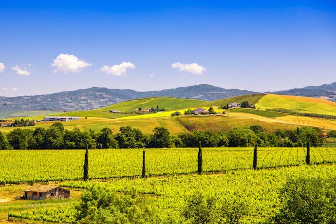 Scenic view of the rolling hills and vineyards of Tuscany with lush greenery