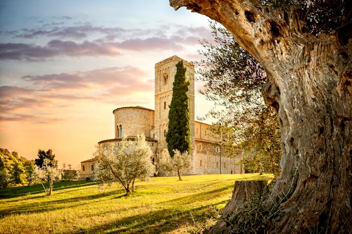 Golden countryside light in Tuscany surrounding a stone abbey set among olive trees and rolling hills.