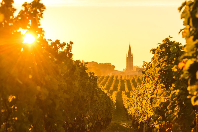 Immerse Yourself in the Saint Emilion Wine Experience_3A
