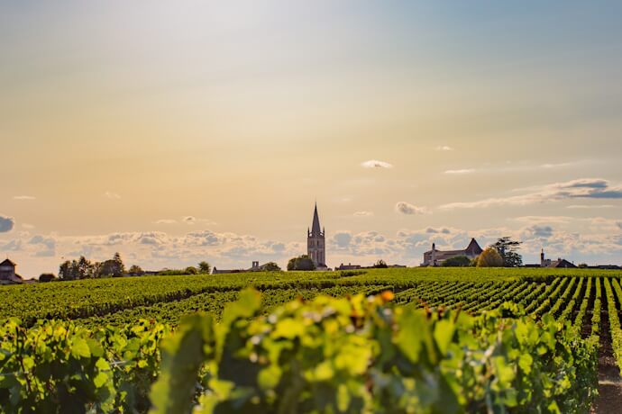 Vineyards stretching across the French countryside with a historic church tower overlooking the wine-growing landscape.