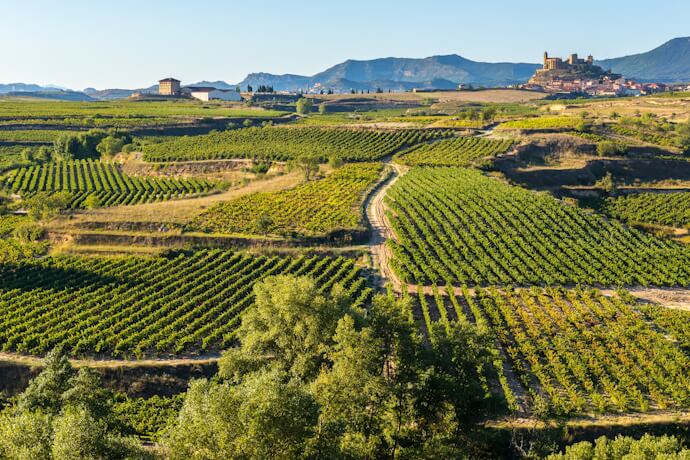 Vineyards in La Rioja stretching across rolling hills with a hilltop village in the distance